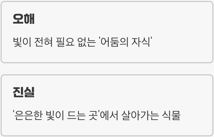 &amp;#39;음성&amp;#39;이라는 이름의 함정