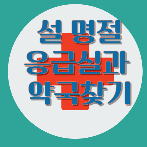 설명절 응급실