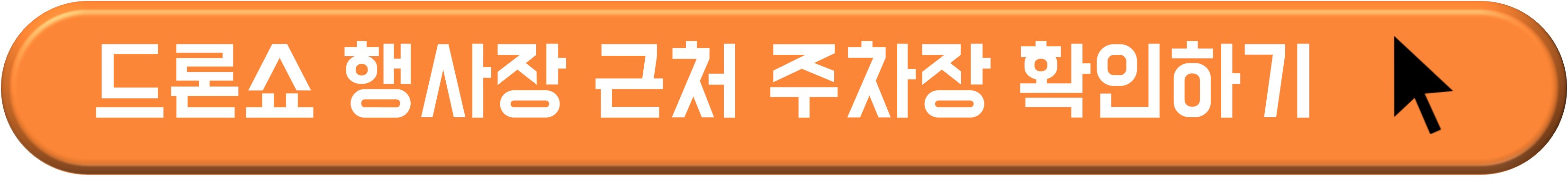 한강 드론 라이트쇼