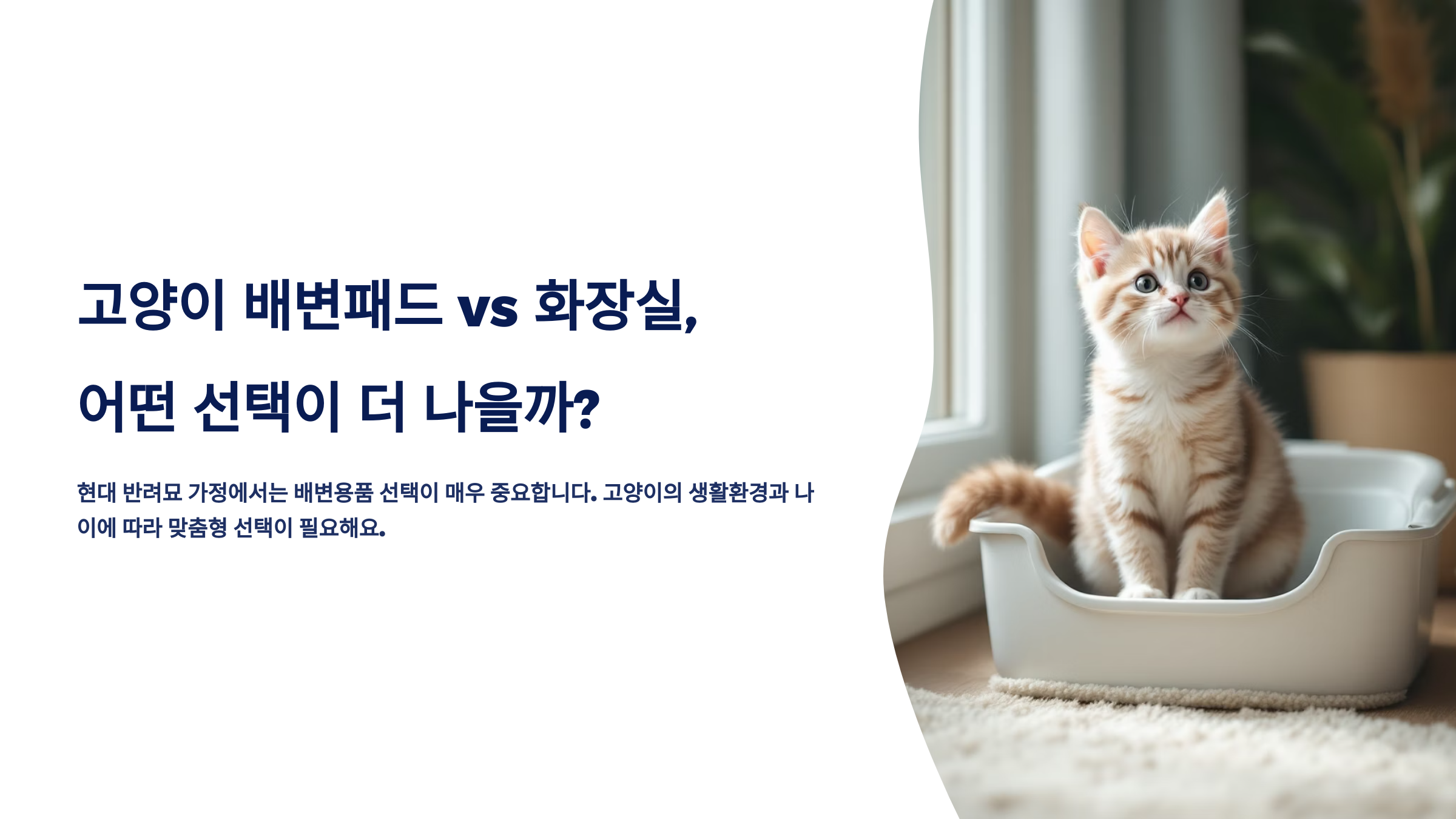 고양이 배변패드 vs 화장실, 어떤 선택이 더 나을까?