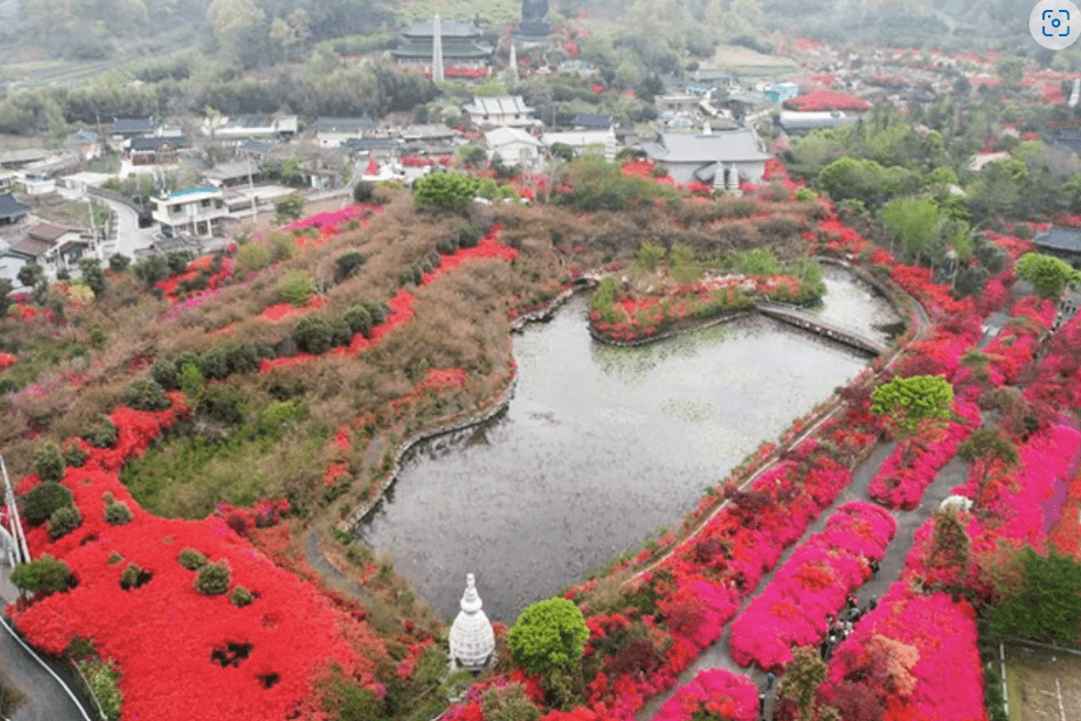 전국 봄꽃 축제