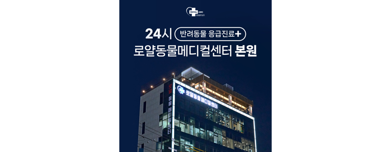 서울 중랑구 동물병원