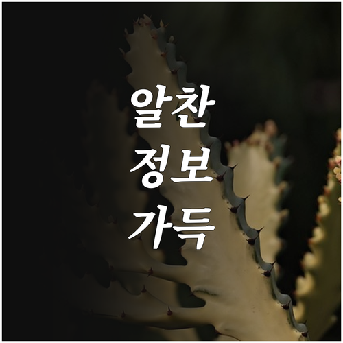 2025 은평구민체육센터 할인 대상은..