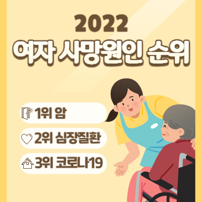 2022년-여자-사망원인-순위