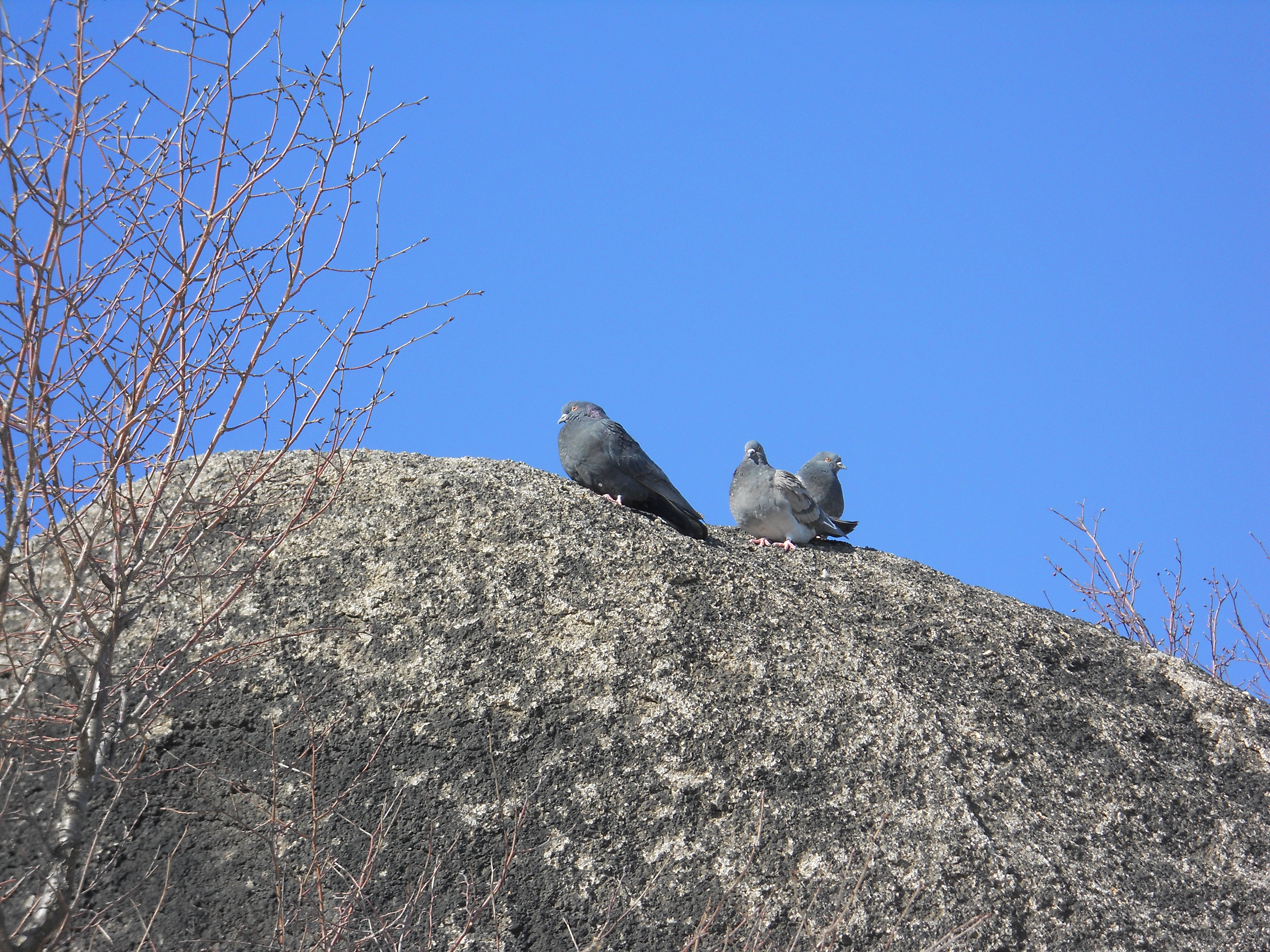 산넘고 물건너 바다건너서 인왕산(Inwangsan Mountain)