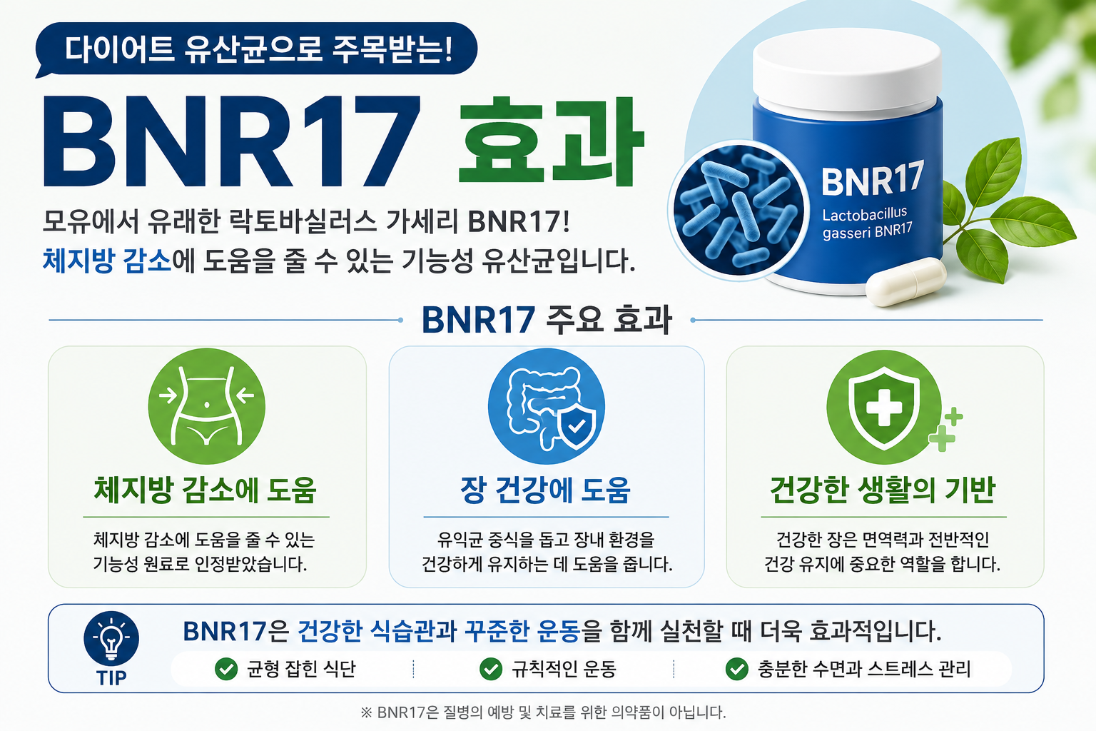 BNR17유산균의 효과