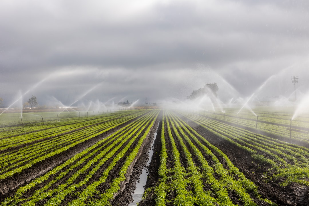 Agricultural Land