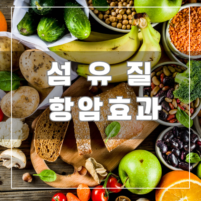 섬유질 항암효과