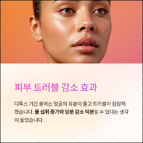 레몬 디톡스 체험기: 3일 만에 느낀 변화와 진짜 효과