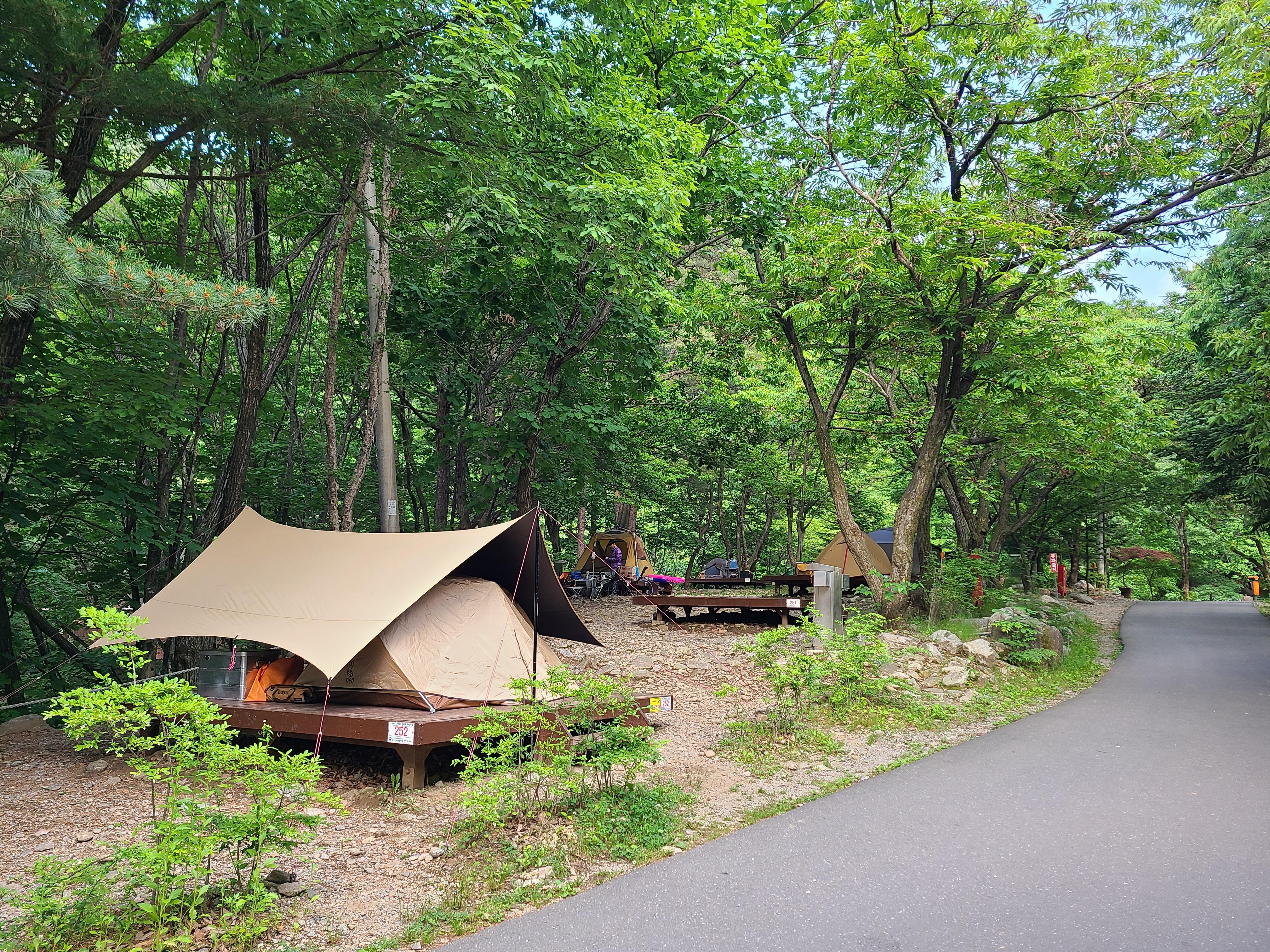 유명산자연휴양림 252데크 주변