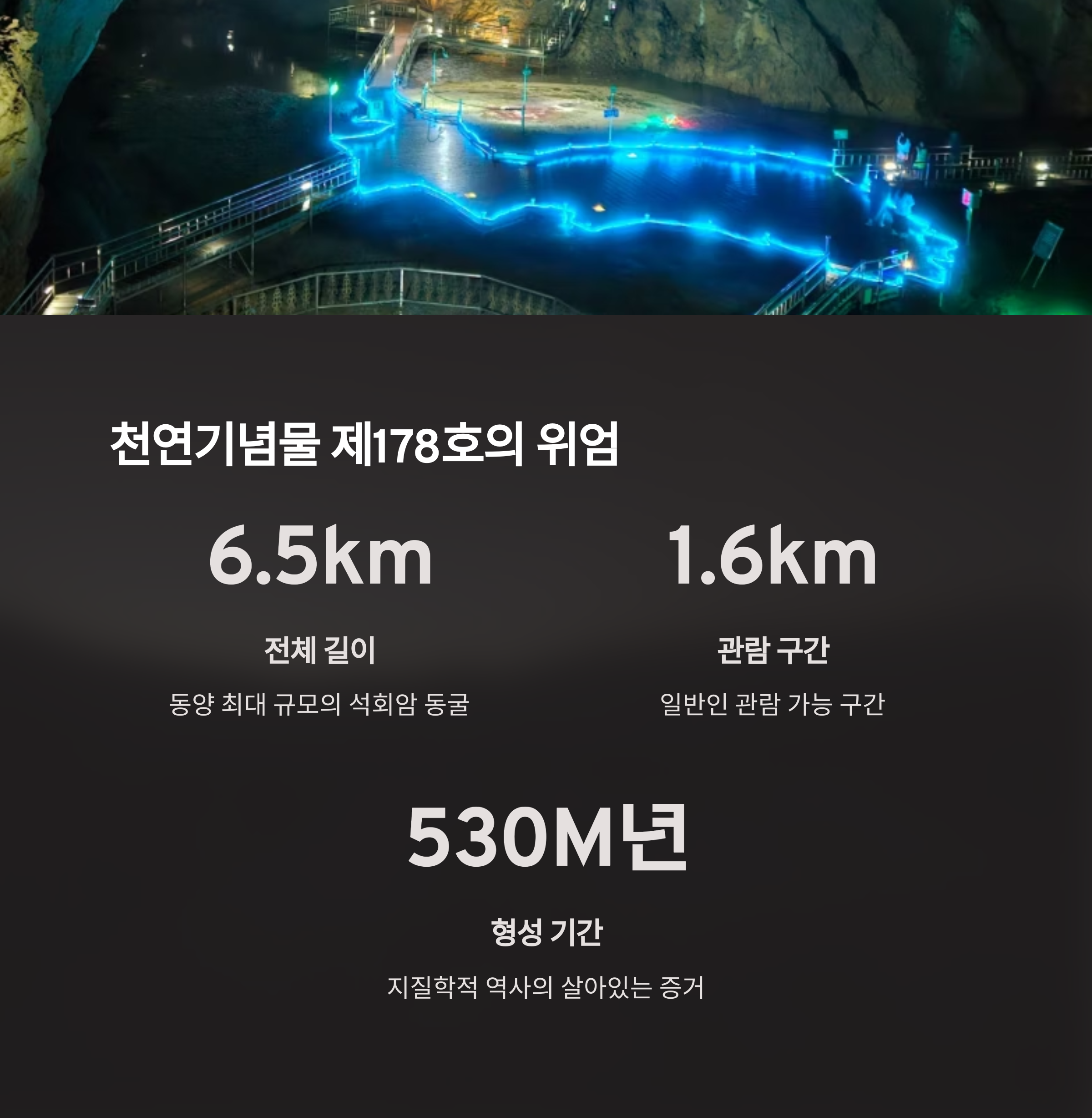 천연기념물 제178호의 위엄