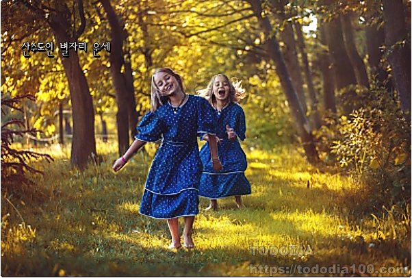 8월-쌍둥이자리운세