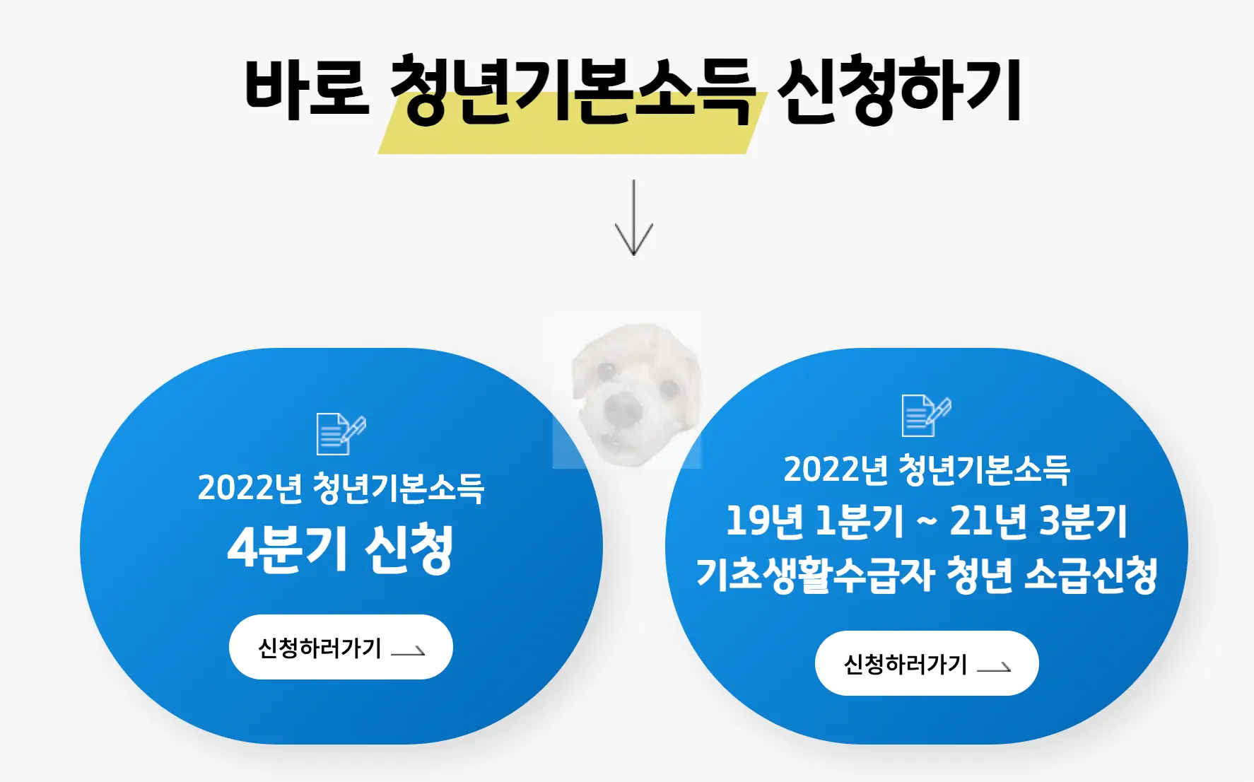 청년기본소득 바로 신청하기