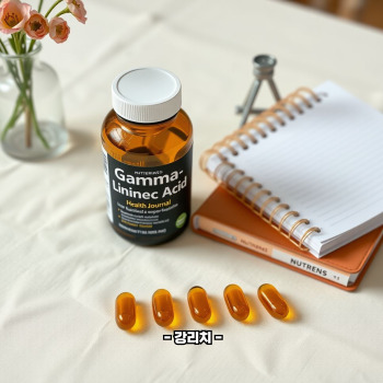 감마리놀렌산의 효능