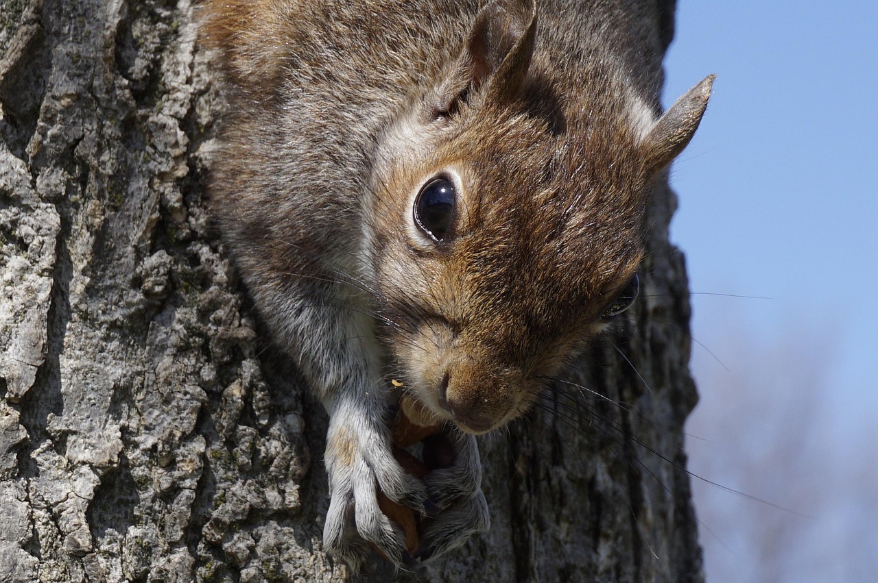 ADHD 증상 테스트 자가진단 검사치료