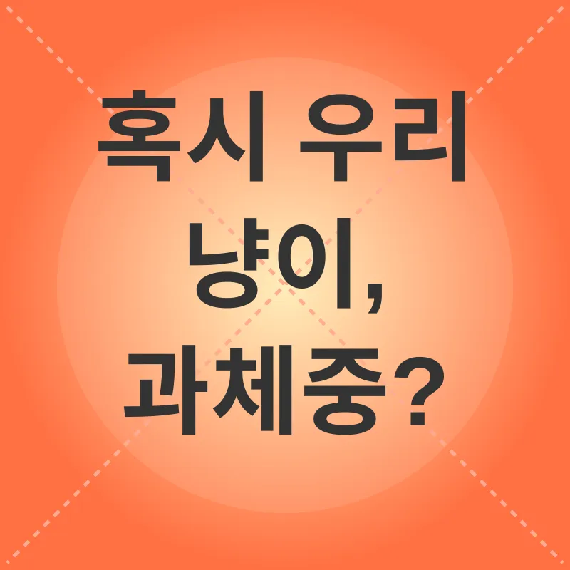 고양이 비만 관리_1