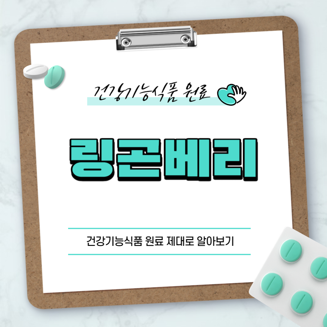 링곤베리