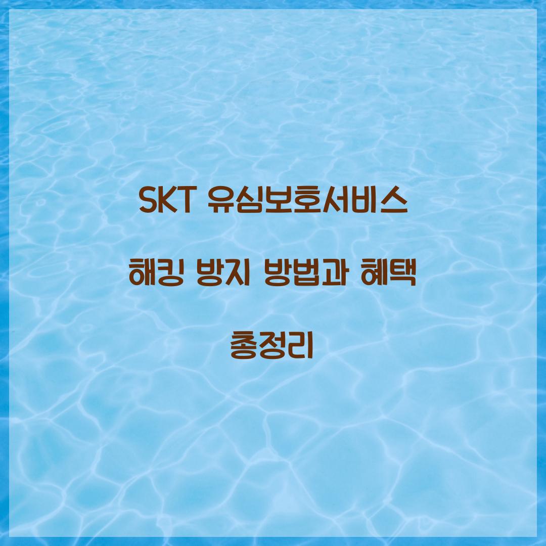 SKT 유심보호서비스 해킹 방지