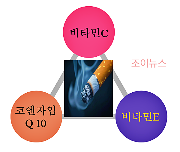 흡연하는 남성에게 필요한 영양소