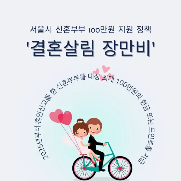 결혼살림 장만비