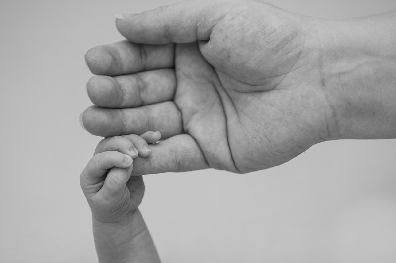 다양한 육아법 비교: 애착 육아 vs. 독립 육아