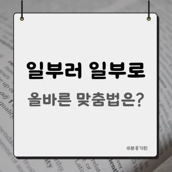 일부러 일부로 맞춤법 뜻 사투리_8