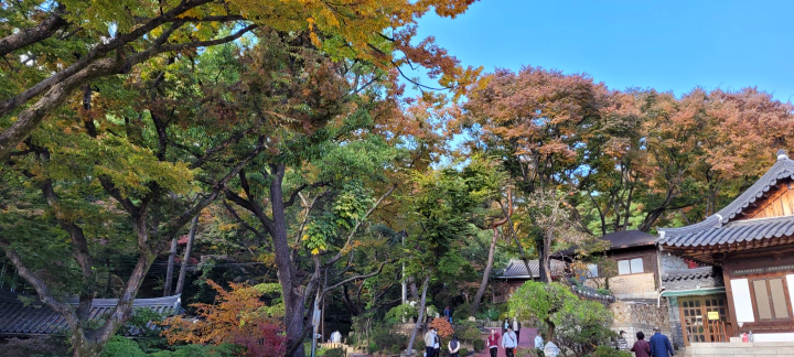 길상사 가을 단풍 전경 2