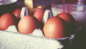삶은계란 칼로리 효능 다이어트 
