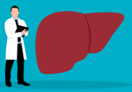 지방간에 좋은 음식 10, 지방간에 좋은 차 – 지방간 원인 증상