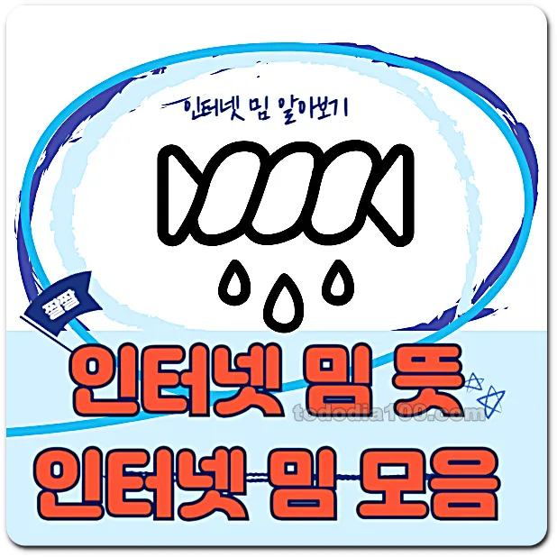 인터넷 밈 뜻 이해하기 인터넷 밈 모음 보기