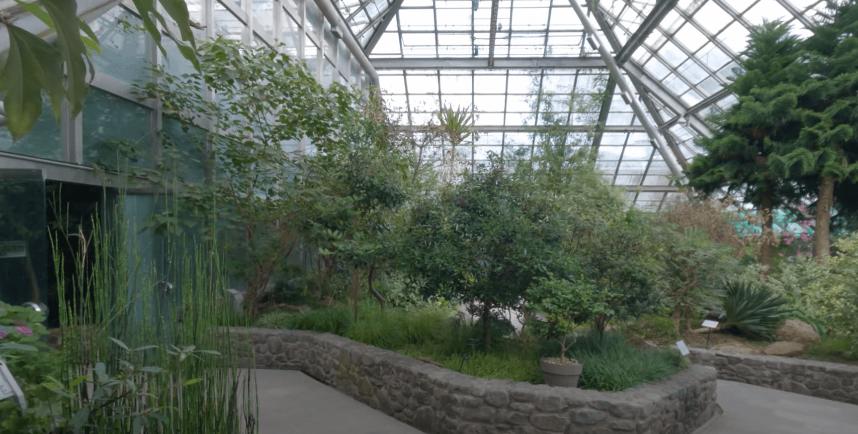 국립광릉수목원