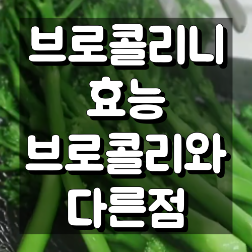 브로콜리니 효능과 브로콜리와 차이 살펴보기