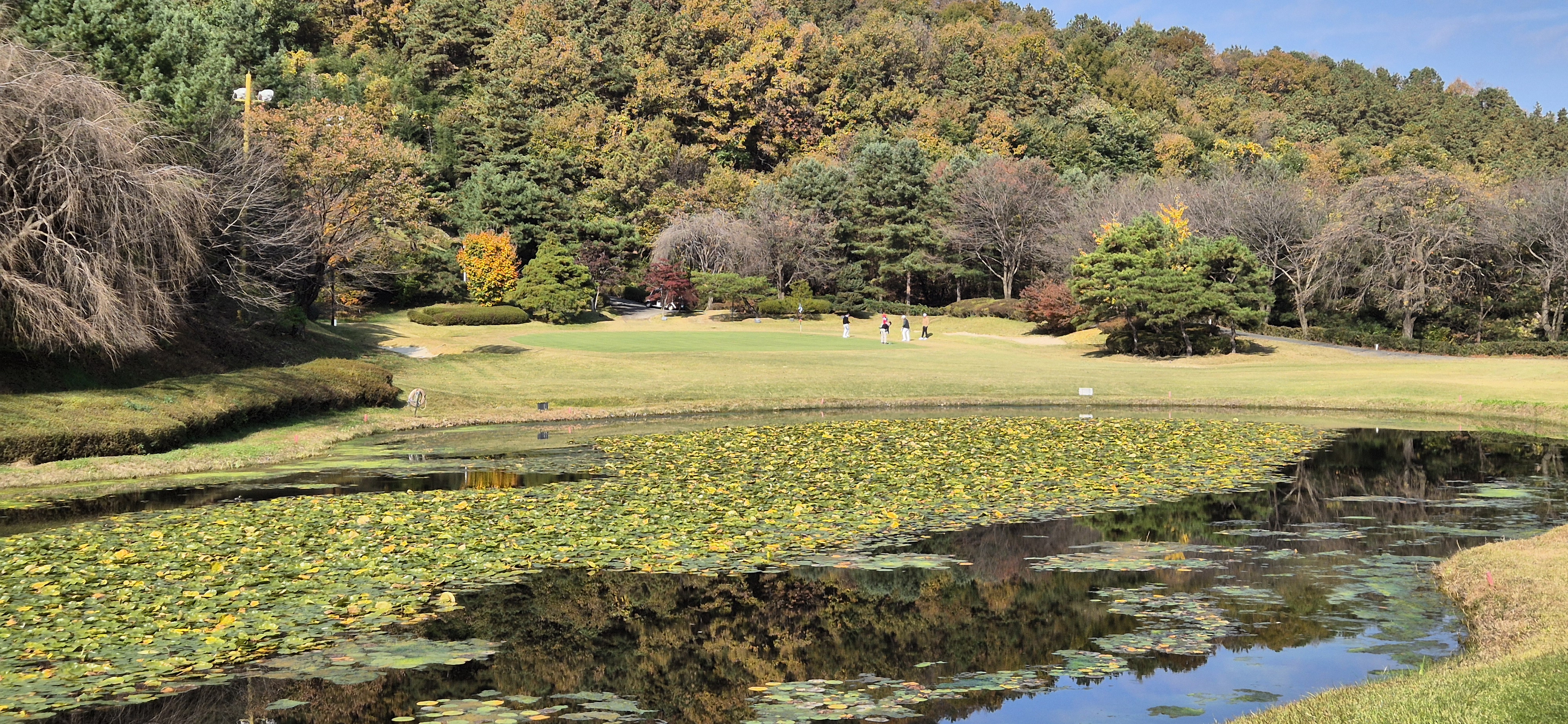 시그너스cc 실크코스 사진 및 공략 정보