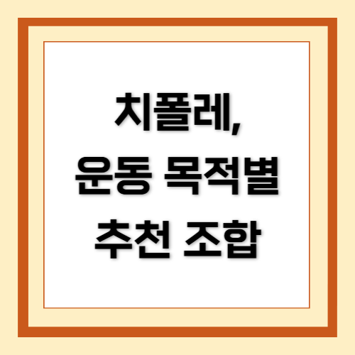 치폴레, 치폴레 멕시칸 그릴, Chipotle Mexican Grill, 치폴레 추천 조합