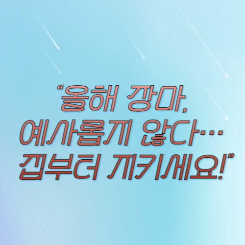 2025년 장마 시작 전 필수 사진