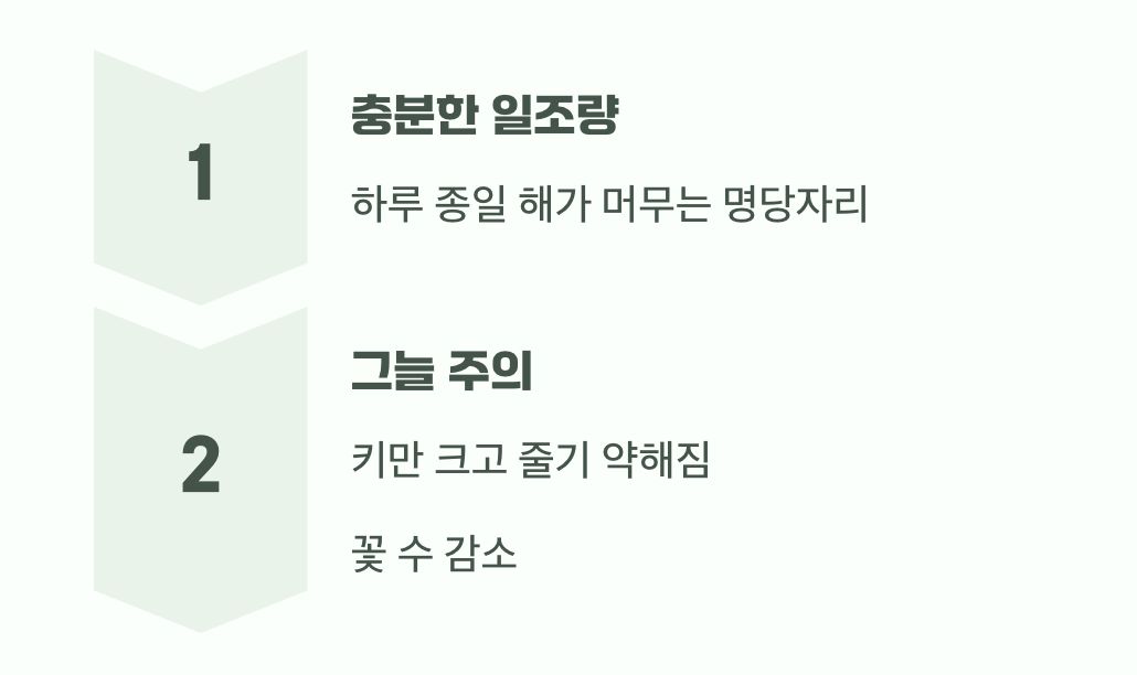 이 친구에게 꼭 필요한 단 한 가지