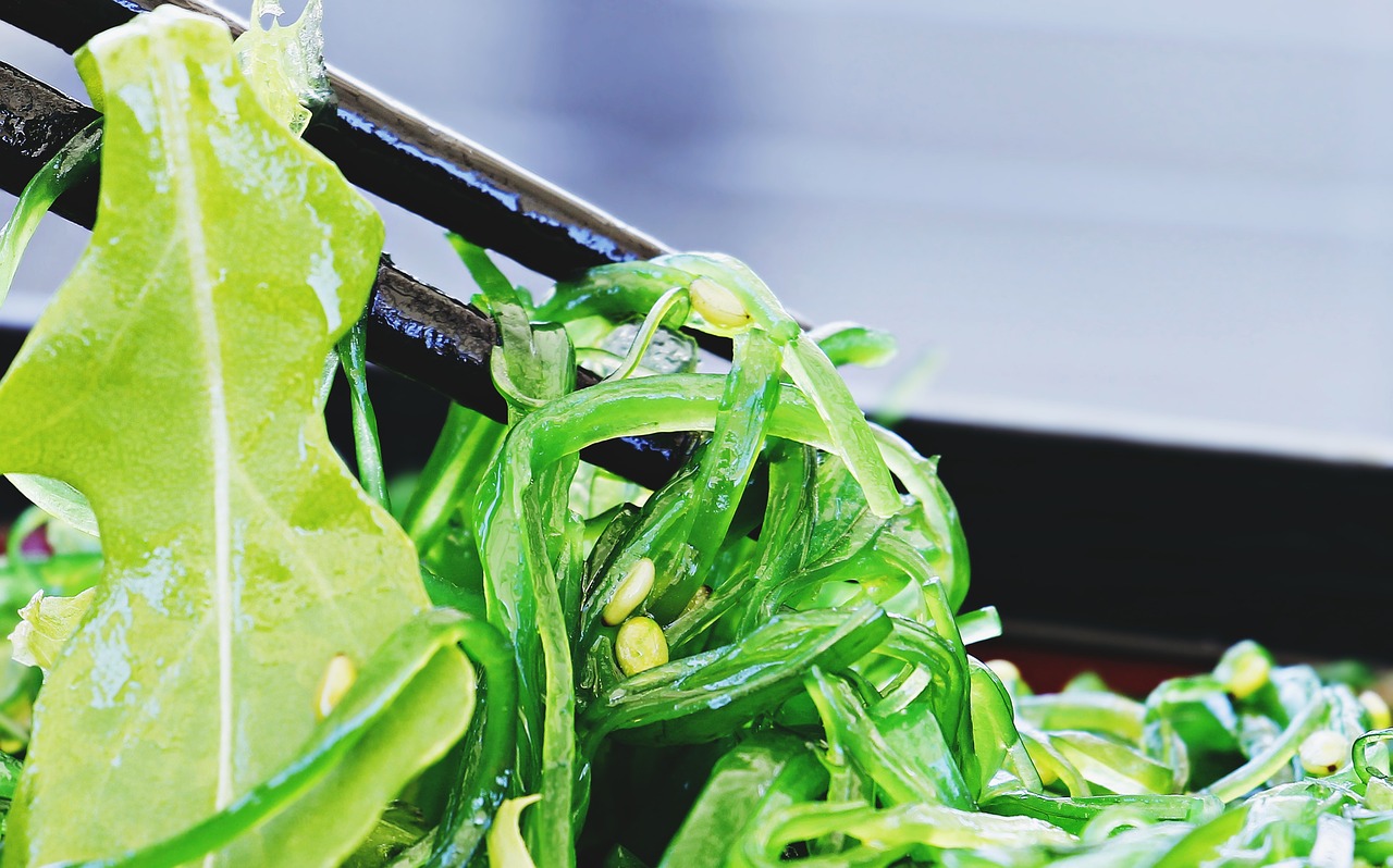 해초샐러드, seaweed Salad