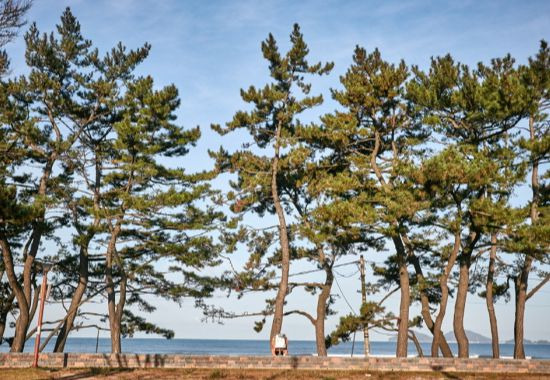 변산해수욕장