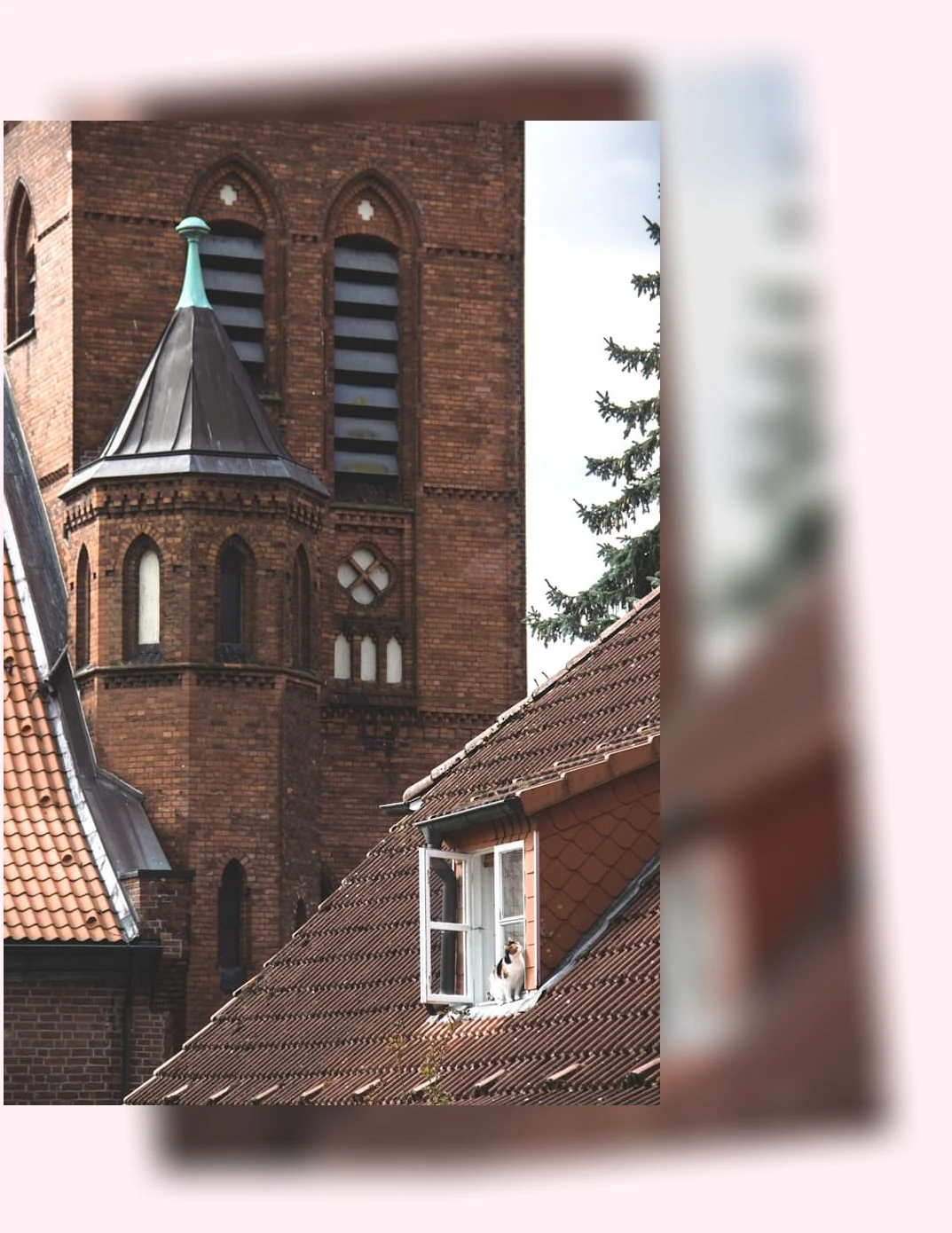 소형 캣타워_2_subsection