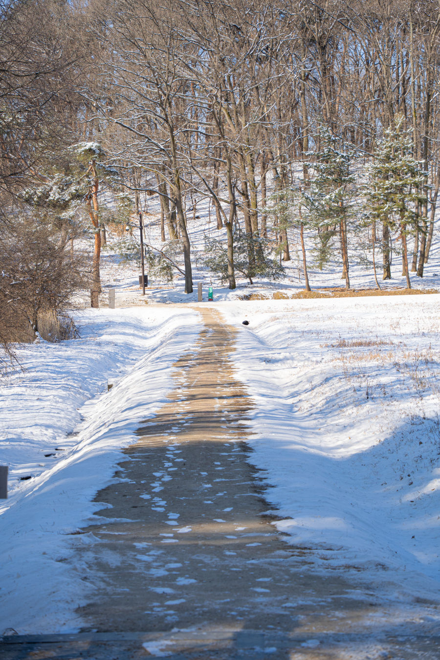 융건릉 들꽃마당