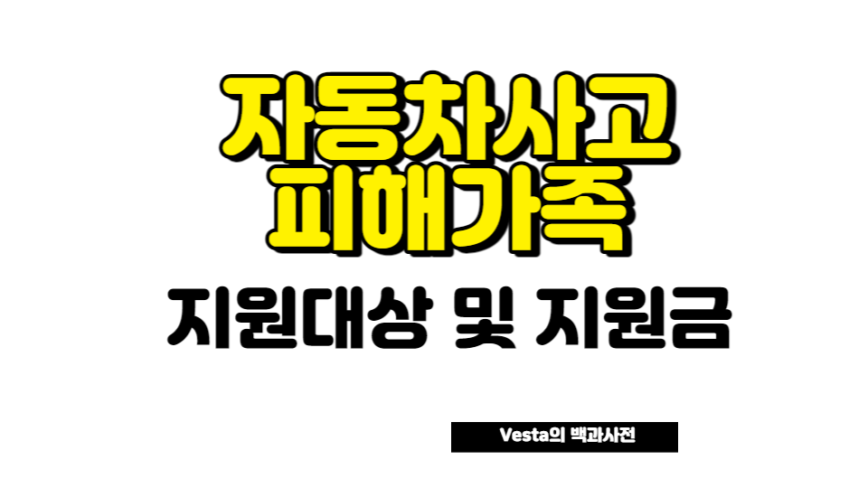 자동차사고 피해자고 지원제도