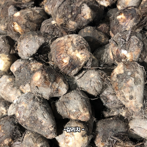 뮤신이 많은 음식