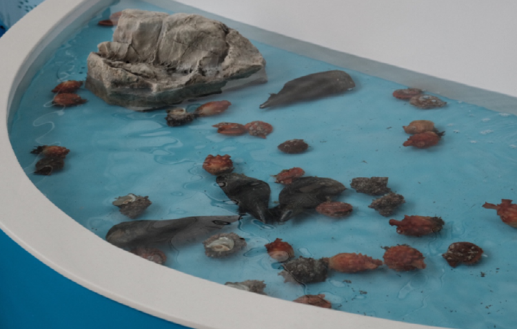 통영 수산과학관