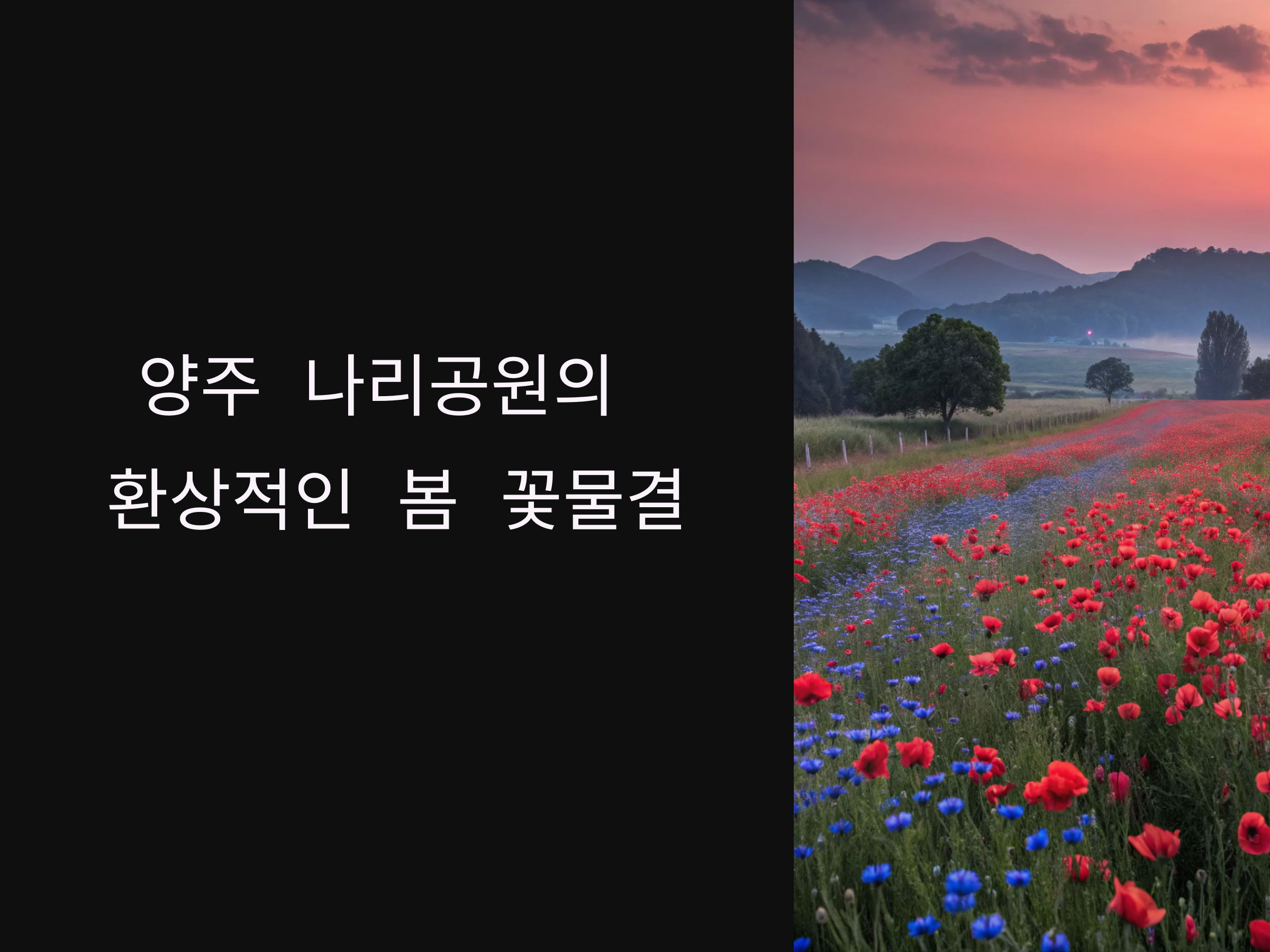 5월 말 꽃물결의 시작, 양주 나리공원의 환상적인 풍경