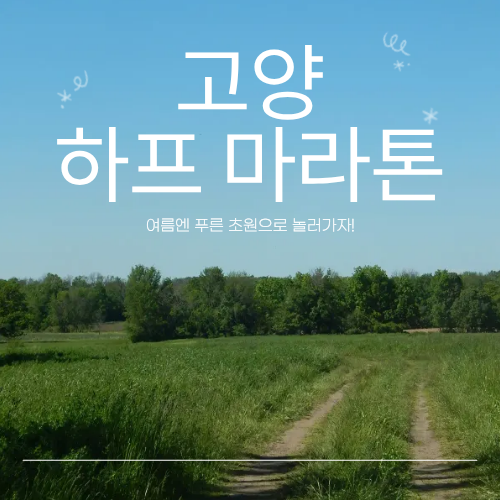 고양 하프마라톤, 준비 안 하면 놓칩니다.