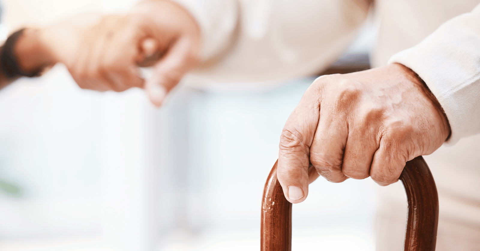 라이나 간병비 치매보험