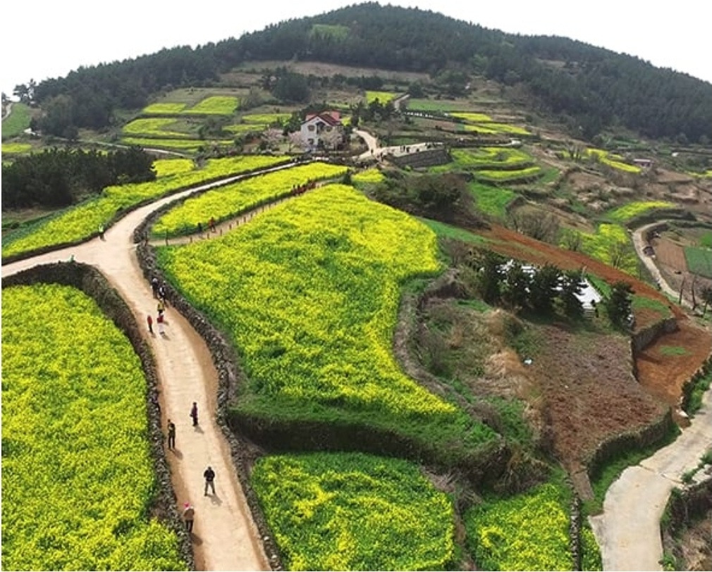 청산도 배시간표 예매