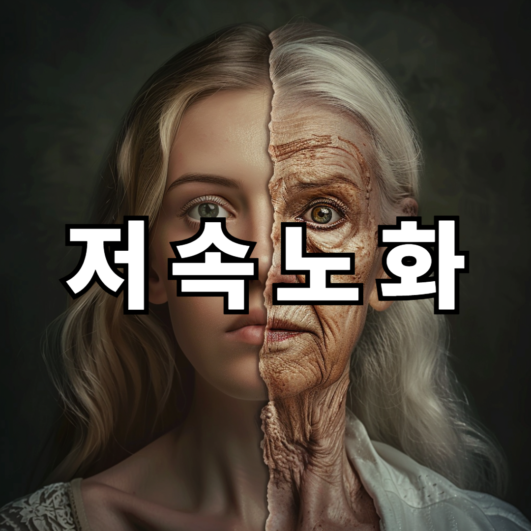 저속노화