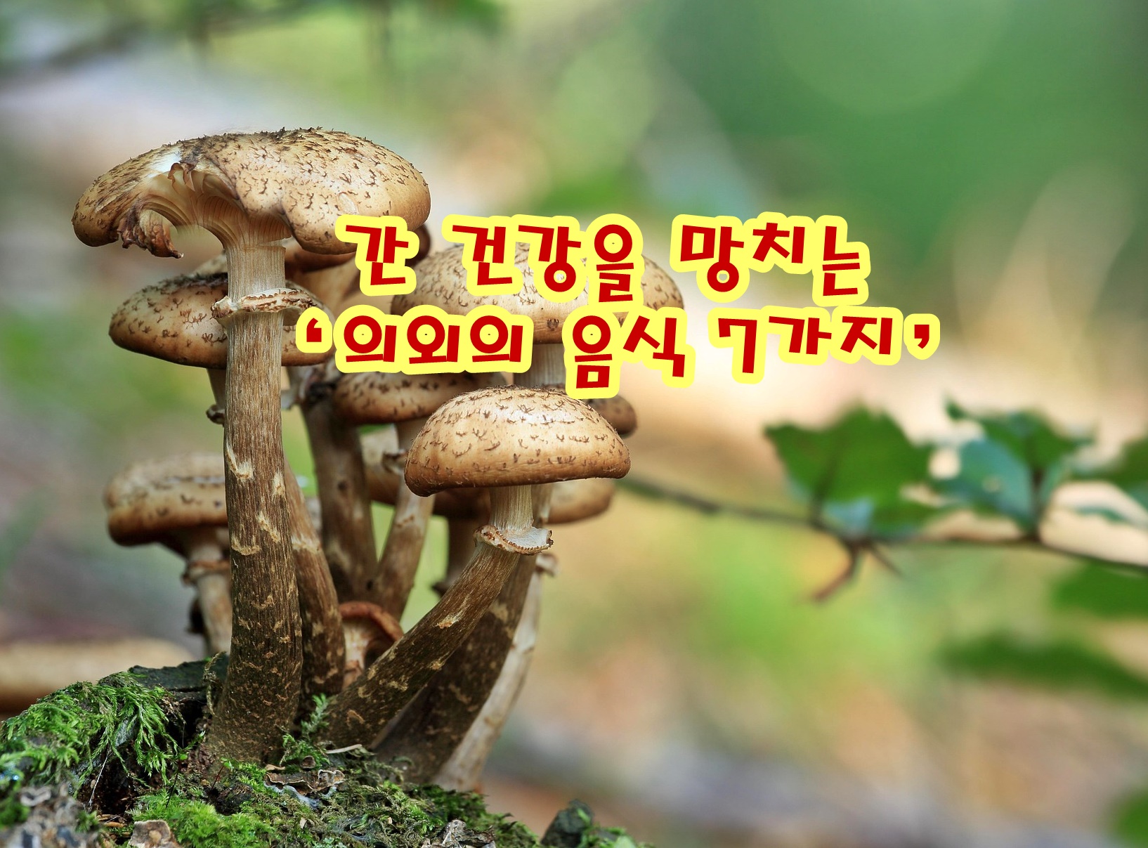 간 건강을 망치는 &lsquo;의외의 음식 7가지&rsquo;