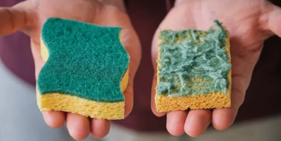 건강한 주방의 시작, 수세미 교체! 종류별 권장 주기와 관리법